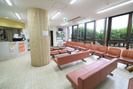 四日市膝肩スポーツの整形外科クリニック 四日市市 日の光が差し込む広々とした待合室