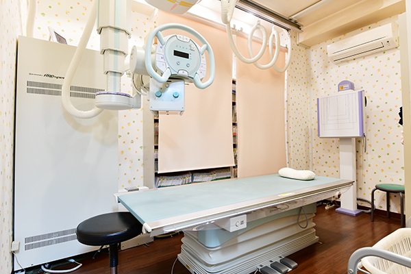 徳永整形外科 世田谷区 骨粗しょう症検査に欠かせない骨密度測定装置