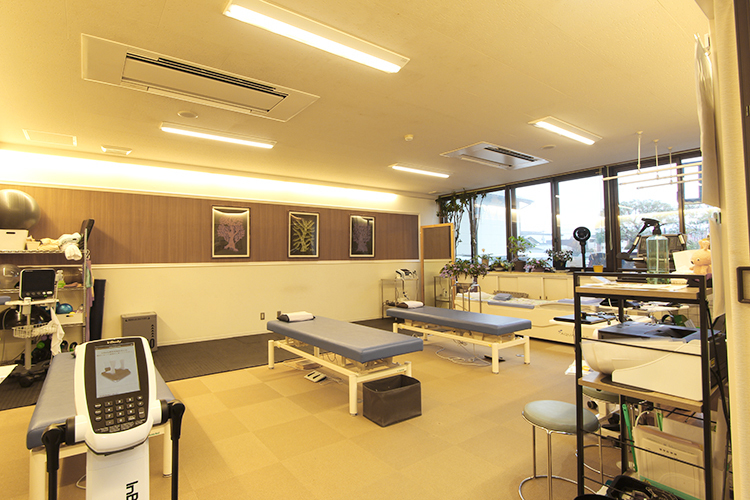 だて整形外科クリニック 松江市 経験豊富な理学療法士を採用しスポーツ障害の治療にも対応