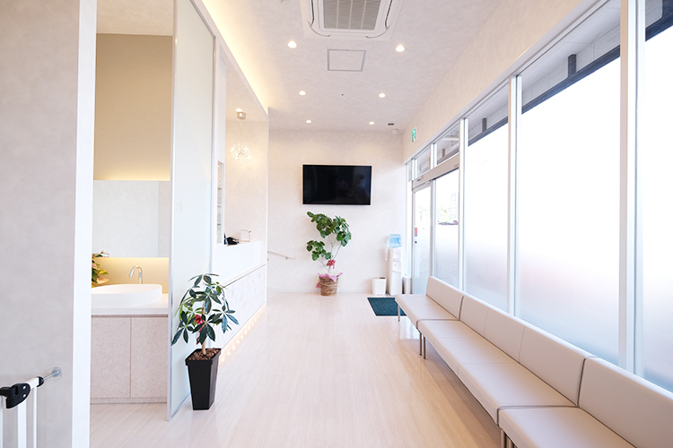 ホワイトデンタルクリニック守谷 守谷市 自然光が差し込む開放的な空間で、心地良い院内