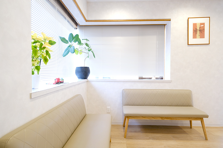 野澤歯科医院 成田市 待合室には観葉植物が置かれ、爽やかな雰囲気