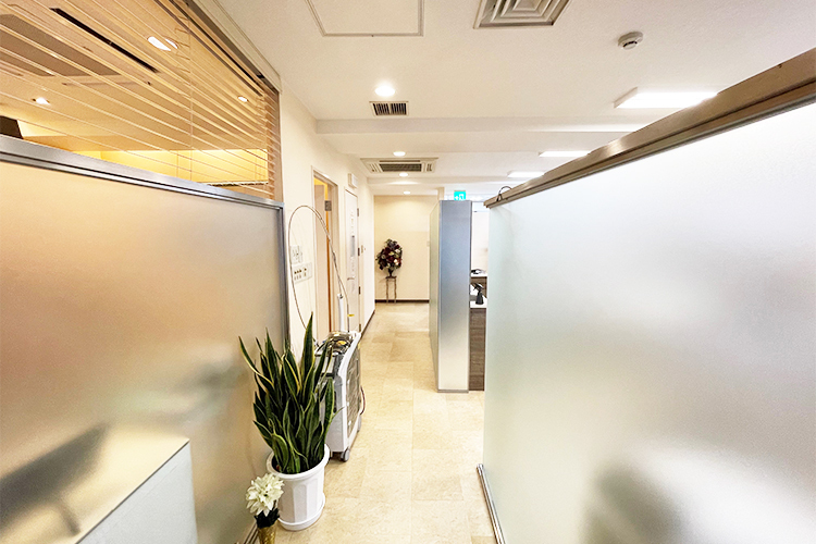 神田橋デンタルオフィス 千代田区 廊下にも植物が置かれ、安らぎを感じるような空間