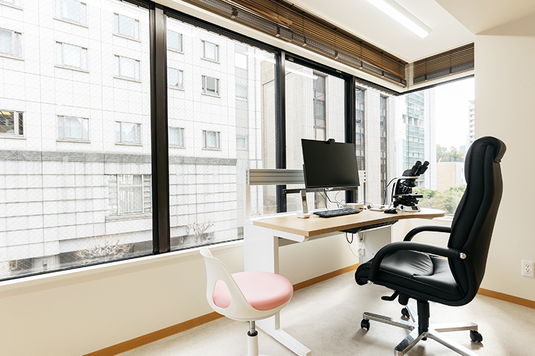 紀尾井町皮膚科クリニック 千代田区 窓からの陽光と緑が広がる診察室