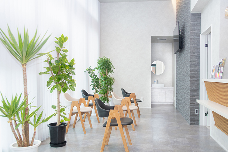 たずみデンタルクリニック 大野城市 大きな窓からは光が差し込み、開放感あふれる院内