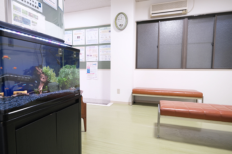 中尾医院 磯城郡田原本町 副院長自ら手入れしている熱帯魚の水槽が印象的