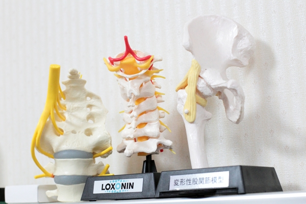 骨粗しょう症、腰痛などの整形外科的な慢性疼痛疾患も診てくれる 26376 ma 4 1356512306