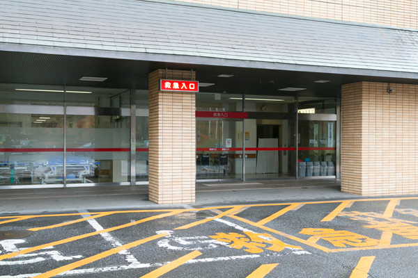チーム医療を大切に治療にあたっている 4 4