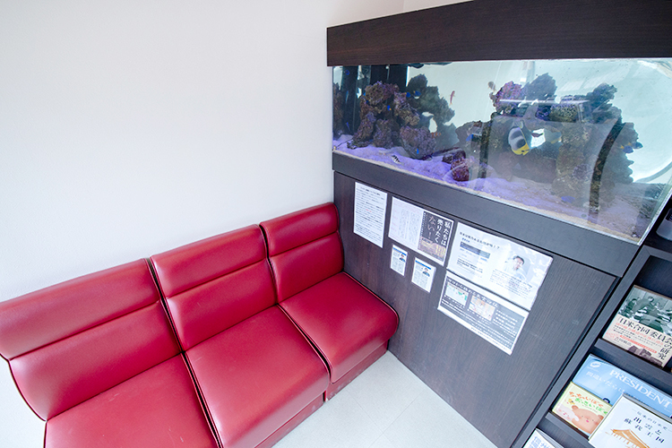 アクリアデンタルクリニック 多摩市 待合室に設置されているアクアリウムが気持ちをリラックスさせる