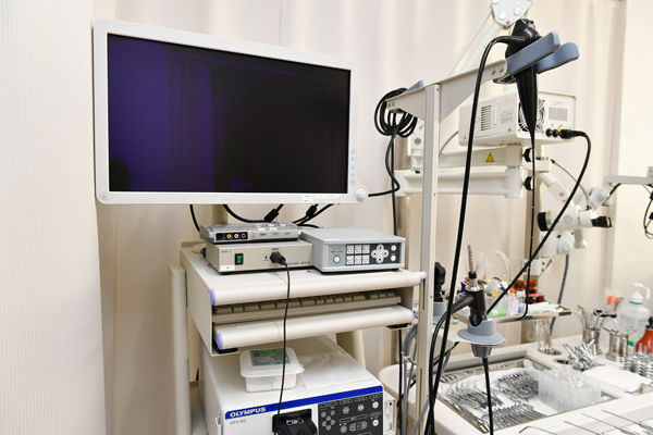 よしだ耳鼻咽喉科クリニック 足立区 精密な検査は電子スコープで対応、痛みの少ない検査が可能