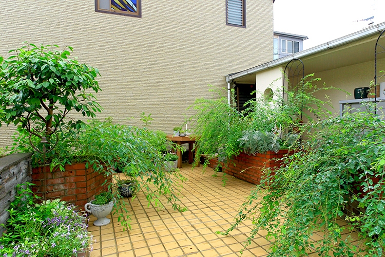 奥村歯科医院 名古屋市中村区 季節の移ろいを感じられ、治療の合間に癒やされる