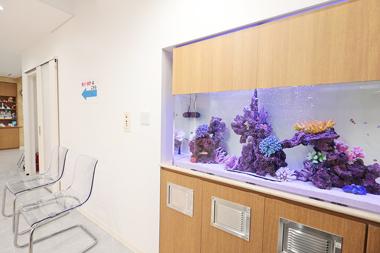 小松歯科医院 八王子市 色とりどりの熱帯魚が泳ぎ、待ち時間も心地良い