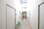 さとこ整形外科 三浦内科 みちこ小児科クリニック 丸亀市 院内の廊下は天井が高く、外光が明るく差し込む