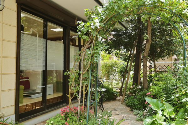 よしもと歯科医院 蓮田市 診療室から見える庭の風景に心が癒される