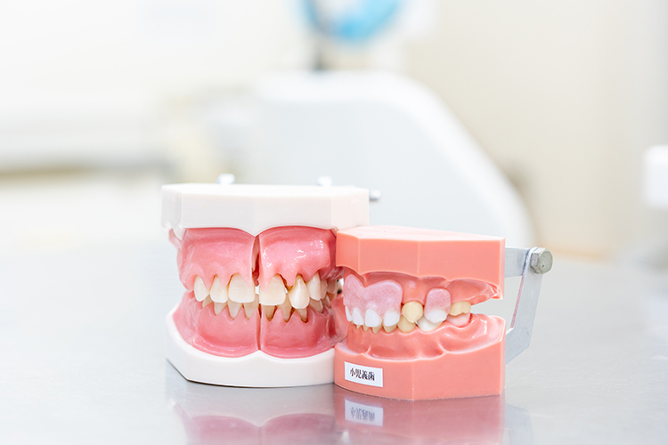 医療法人 本城歯科医院 北九州市戸畑区 高齢化率の高い戸畑区のニーズに合わせ入れ歯治療などにも注力