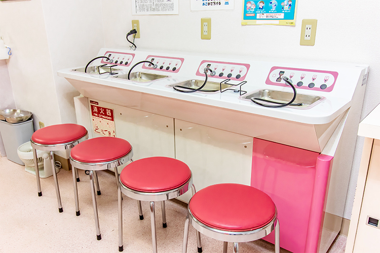 医療法人 丹生医院 大阪市西区 アットホームな雰囲気に心が安らぐ