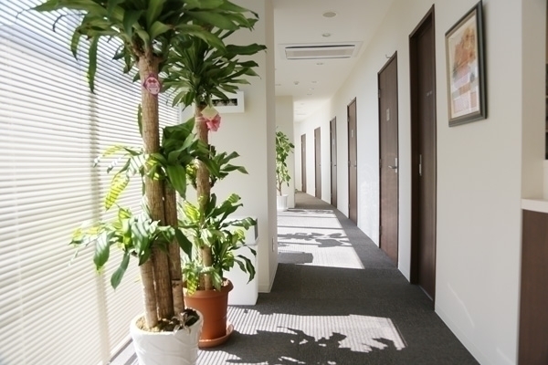 辻堂いなほクリニック　心療内科・精神科 藤沢市 診察室に向かう廊下は日が差し込む明るい造り