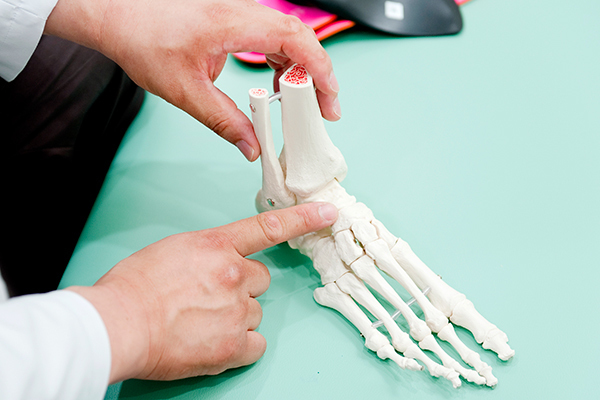 爪と皮膚の診療所 形成外科・皮膚科 横浜市青葉区 模型などを用い丁寧でわかりやすい説明をしてくれる