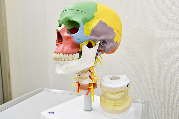 噛み合わせに着目し、症状の根本の改善をめざす 20190325 5