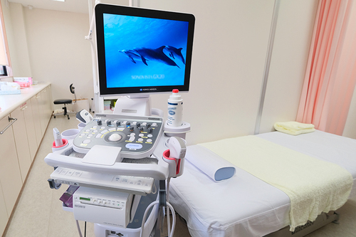 Ladies Clinic NORIKO（津市/津新町駅）｜ドクターズ・ファイル