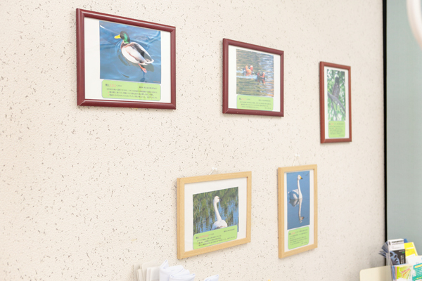 ほりえ歯科医院 印西市 患者が写真を撮って持ってきてくれるそう