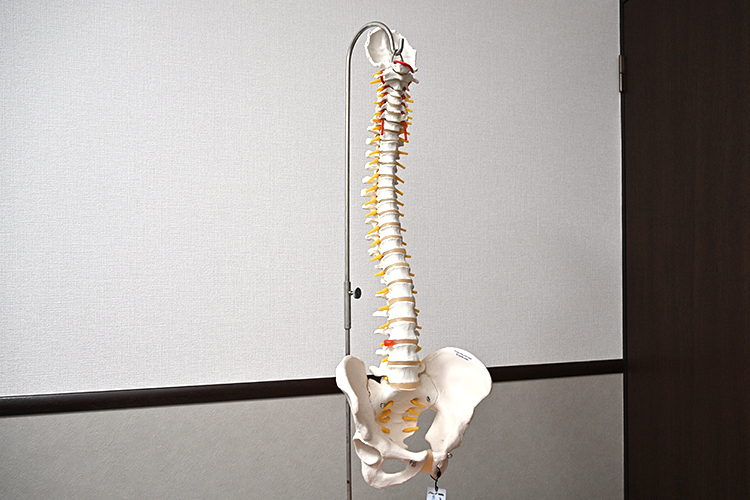 ホームケアクリニック田園調布 大田区 緩和ケア・ペインコントロールなどを行う