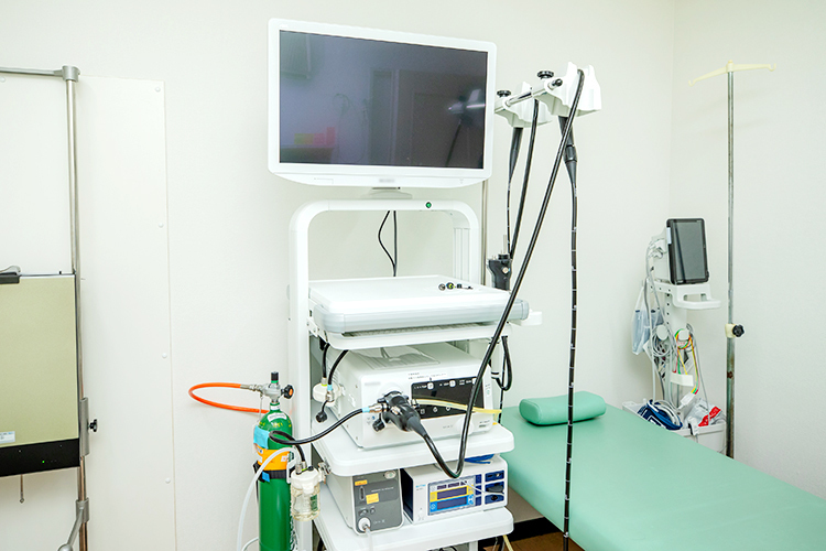 小川医院 京都市上京区 日本消化器内視鏡学会消化器内視鏡専門医が行う内視鏡検査