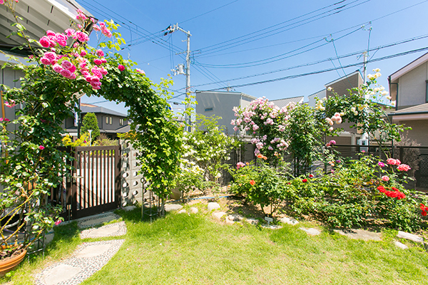 菱谷医院 豊中市 待合室からは菱谷先生自慢のきれいな庭が広がる