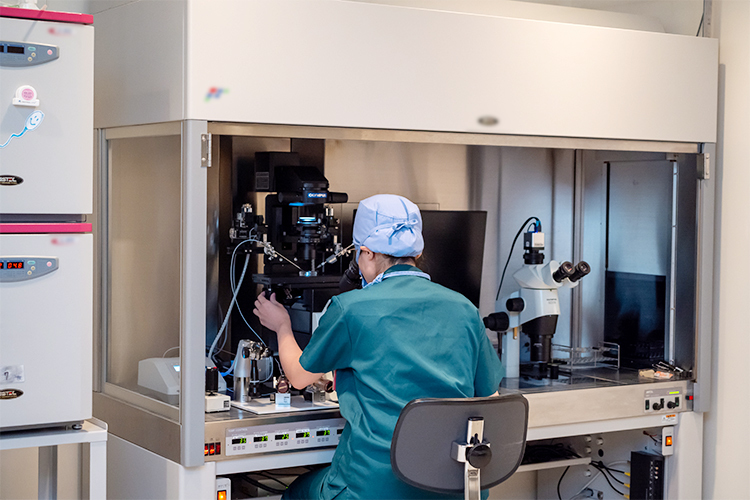 とくおかレディースクリニック 目黒区 経験豊富な培養士が一つ一つの胚を大切に管理し、培養している