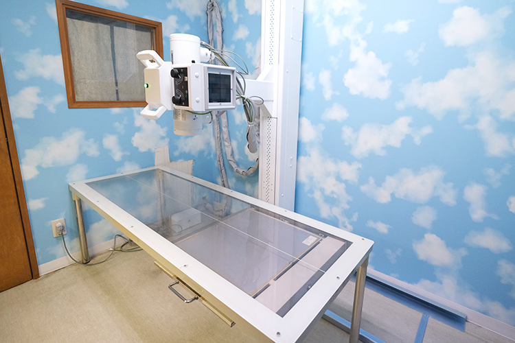 創生会クリニック 神戸市東灘区 壁紙を工夫し少しでも緊張を和らげられるよう配慮