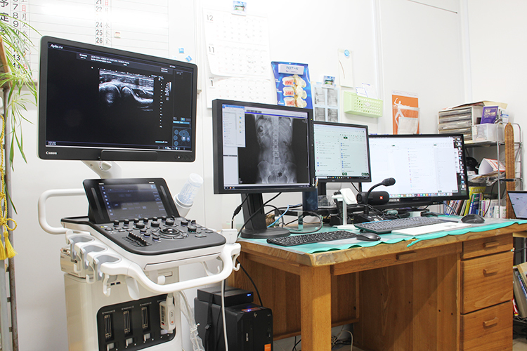 だて整形外科クリニック 松江市 伊達宏和院長は複数の病院で臨床経験を積んだ経験豊富なドクター