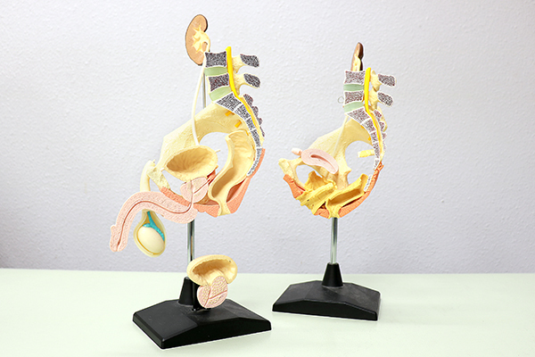 東クリニック 鹿児島市 一人ひとりの症状に合わせて親身に対応する東院長
