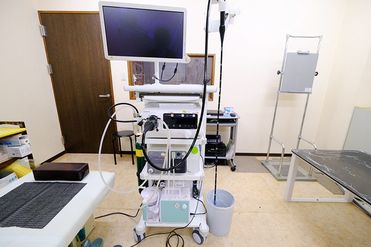 ひらたクリニック 江南市 内視鏡検査の研鑽を積んだ医師による検査が可能