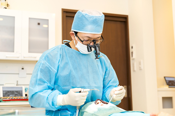 クラウン歯科名古屋中村院 インプラント体の上部に人工歯が取りつけられる