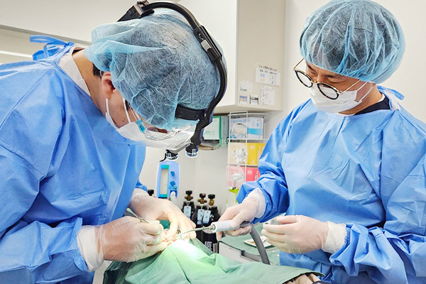 きむ歯科口腔外科医院 骨が少ない、痛みに弱いなど 多様な悩みに沿ったインプラント治療