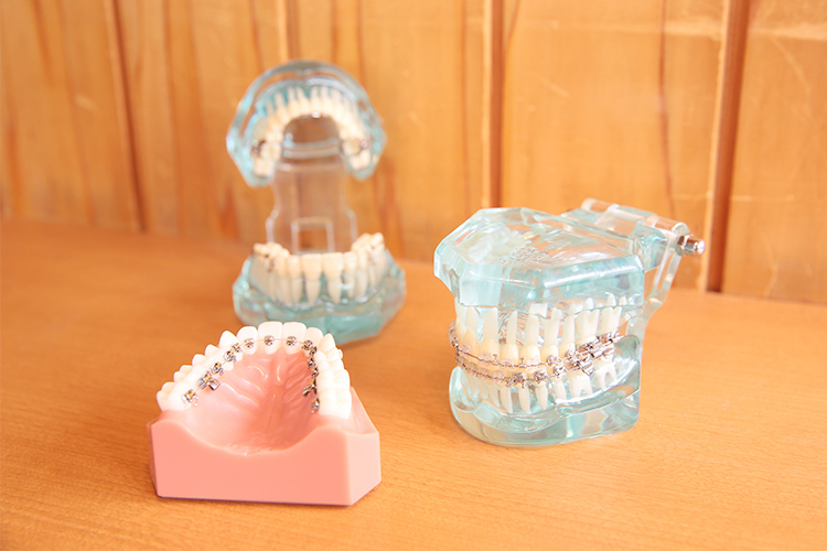 しゅういち矯正歯科クリニック 機能面・安定面・審美面の達成をめざして 適切な治療を提案