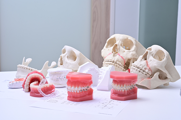 すみれ矯正歯科 本郷 噛み合わせと顔貌の悩みにアプローチ サージェリーファーストとは