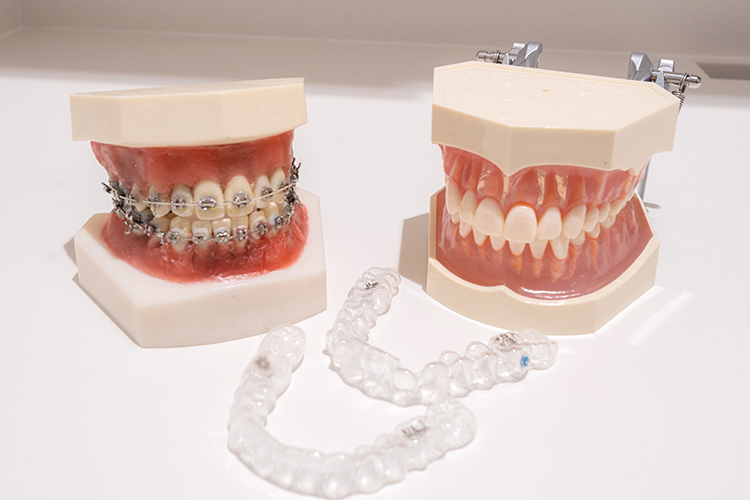 やまもと歯科・矯正歯科 オールインワンで完結する治療 将来の健康を見据えた矯正治療