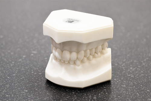 MFT（口腔筋機能療法）を同時進行 後戻りしない矯正をめざす