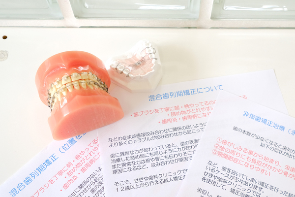 せきや歯科クリニック 資料や模型を使ったわかりやすい説明も同院の魅力