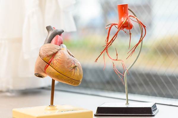 引野口循環器クリニック 少しの違和感の陰に重大な疾患が隠れていることもある