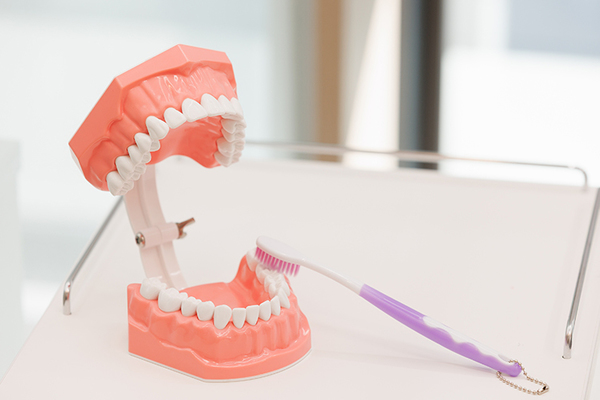 みなみ歯科・矯正歯科 歯が生え始めたら、受診を考えるタイミング