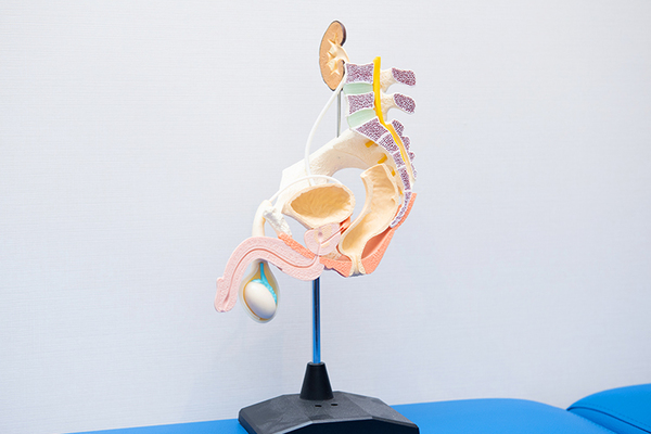 中央みなとクリニック 前立腺肥大により過活動膀胱になることも
