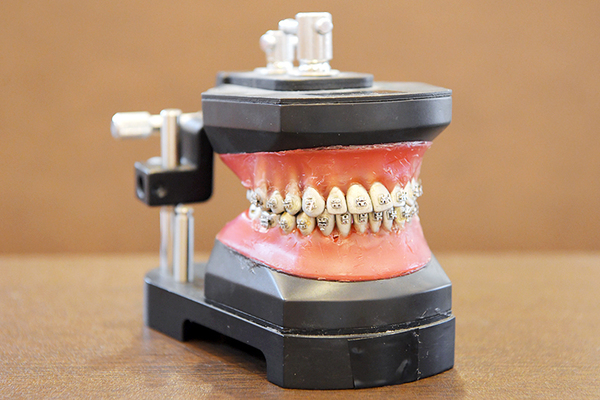 つかだ歯科医院 一人ひとりの生活背景にも考慮した治療法を提案している