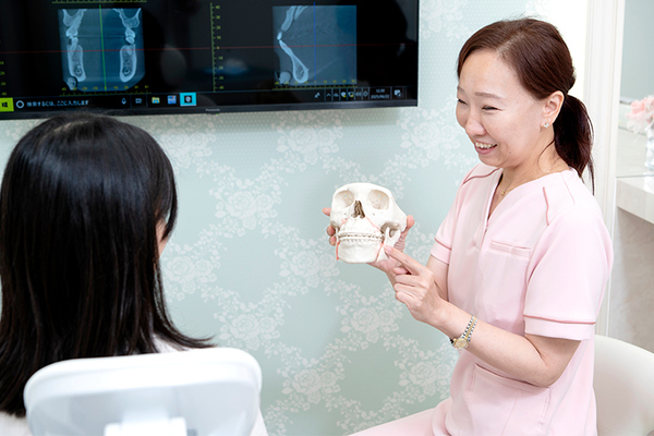 すみれ矯正歯科 本郷 模型や図を用いて患者にわかりやすく説明する