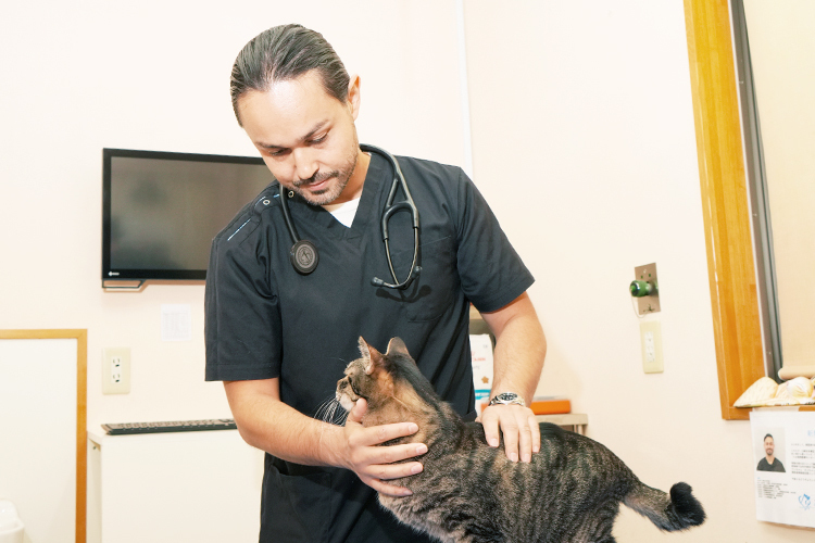 獣医循環器認定医が診る 犬と猫の心臓病ケアとは(たま動物医療センター