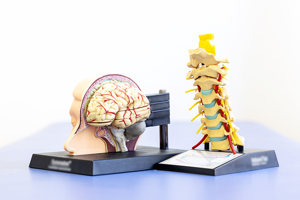 中村脳神経外科クリニック 自己判断せず、専門家に相談することが安心につながる