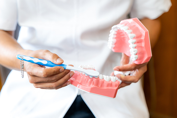 青おとなこども歯科クリニック 歯の模型などを利用し、丁寧な説明や指導を行う