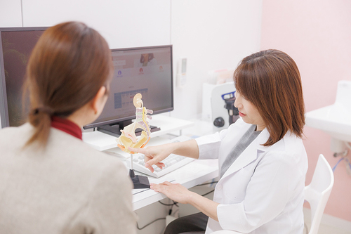 女性医師に聞いた 膀胱炎や尿失禁など女性に多い泌尿器科疾患