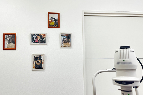 かしま眼科 診察室には院長の飼い犬や飼い猫の写真が飾られている。