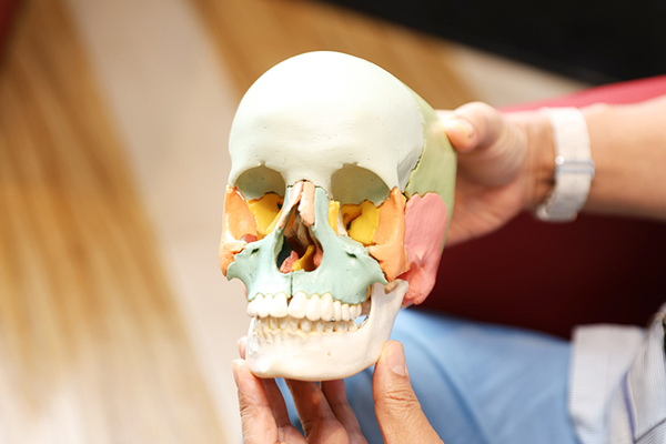 井上秀人歯科インプラントクリニック 噛み合わせがもたらす影響は全身に及ぶという